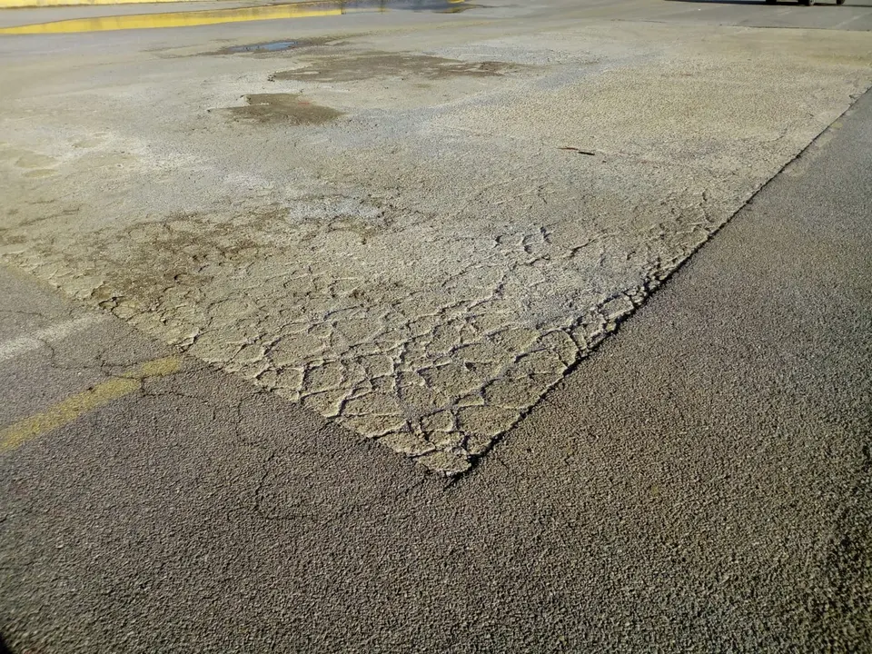 WhatsApp Image 2021-11-25 at 15.54.08