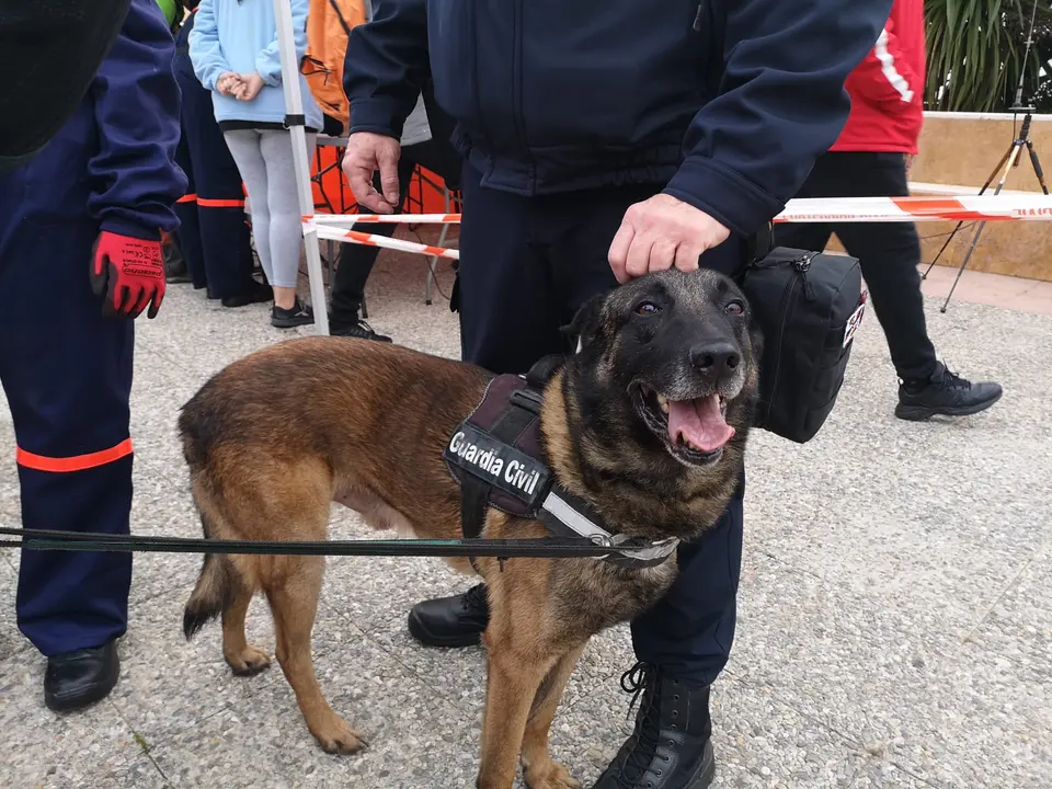 WhatsApp Image 2022-01-30 at 9.37.21 AM (2)