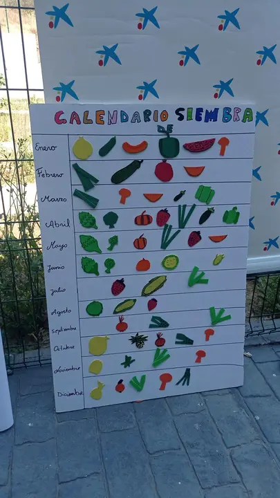 286291269_5120181294715153_4882679337294228863_n