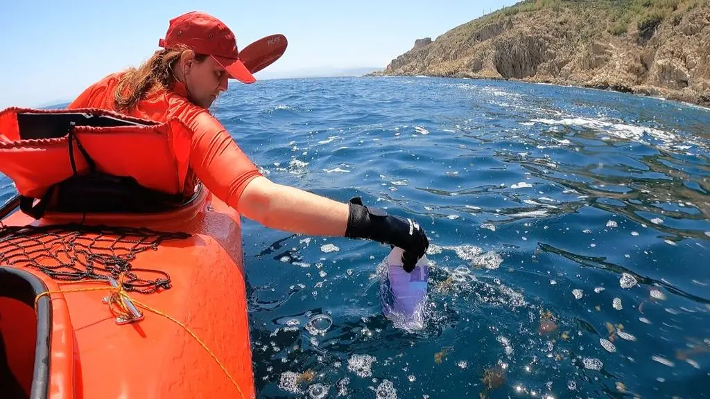 e68bee05-3ab1-42c8-9125-34b4f7225dc8