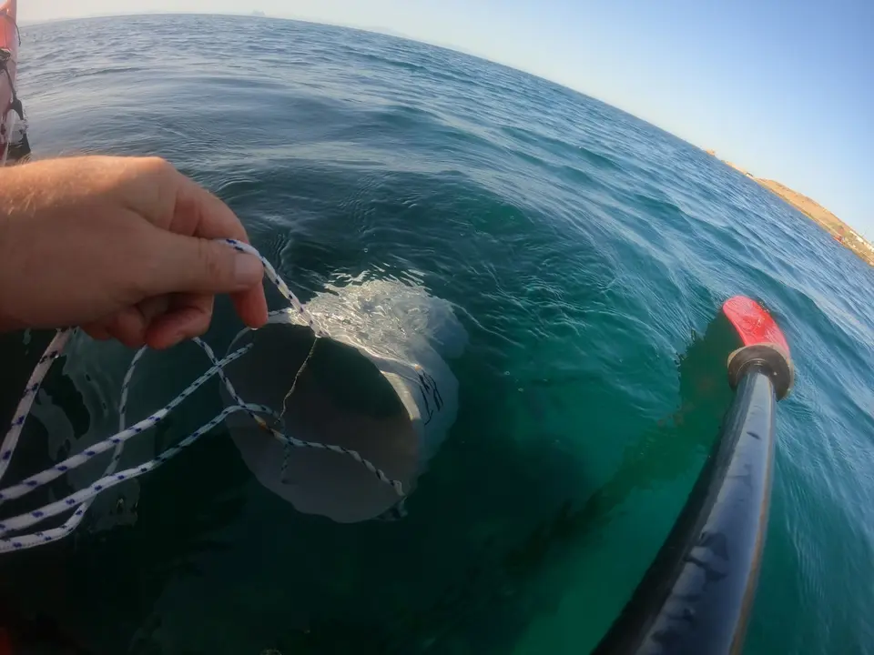 thumbnail_PHOTO-2022-05-27-21-32-19