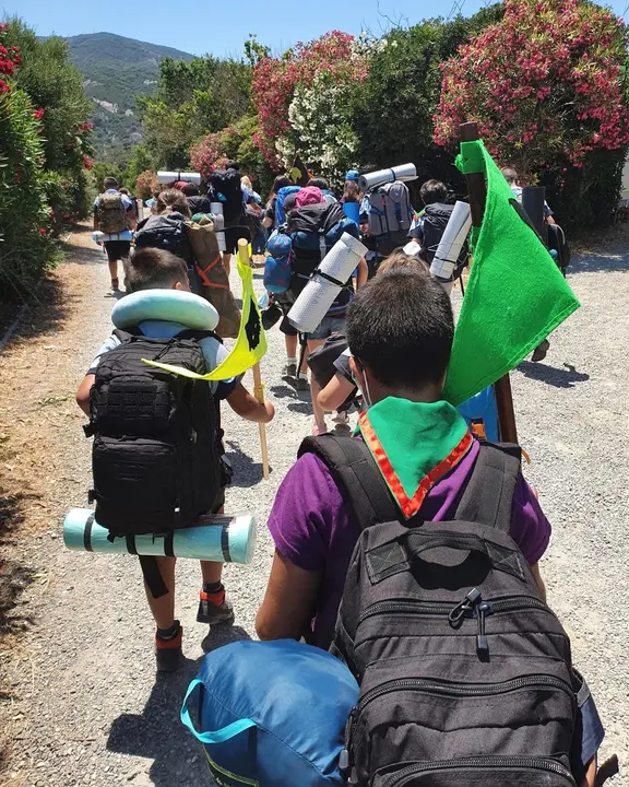 D8502BE6-56C6-46A1-96F6-21895795CD21