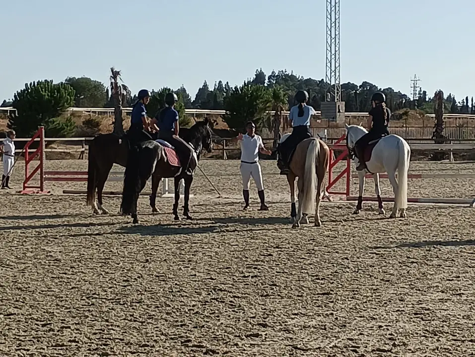 WhatsApp Image 2022-08-05 at 11.08.00 AM