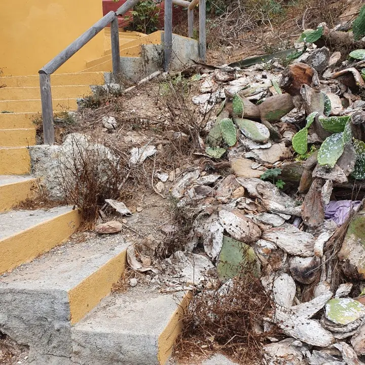 foto visita mezquita sarchal1