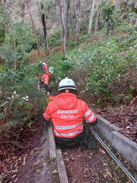 WhatsApp Image 2024-02-09 at 20.59.52