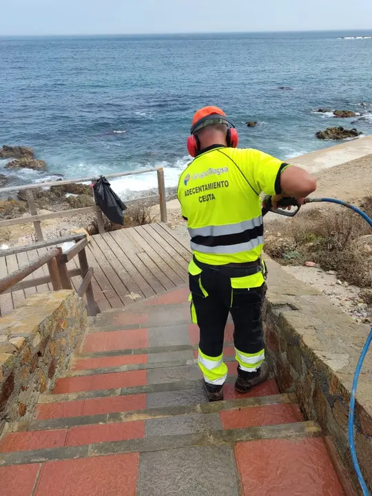 limpieza_playa_perros_1