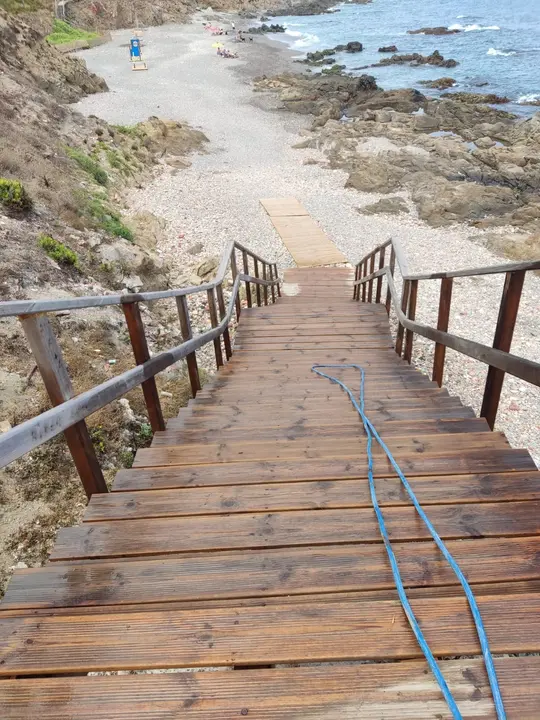 limpieza_playa_perros_2