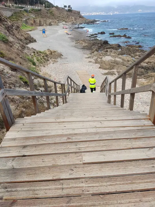 limpieza_playa_perros_3