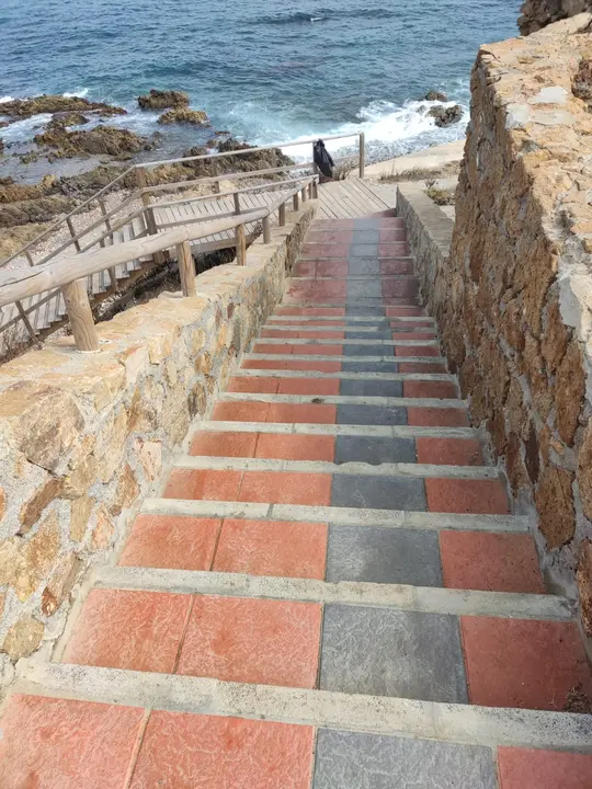 limpieza_playa_perros_4