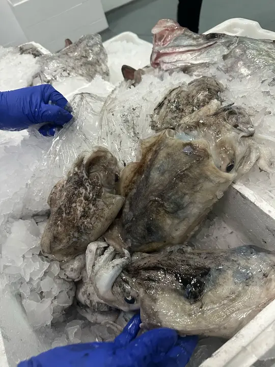 WhatsApp Image 2025-02-27 at 19.09.17