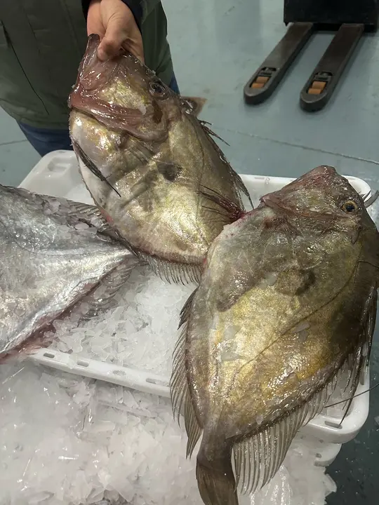 WhatsApp Image 2025-02-27 at 19.09.16 (3)