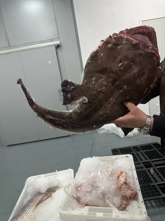 WhatsApp Image 2025-02-27 at 19.09.14