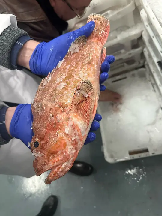 WhatsApp Image 2025-02-27 at 19.09.13