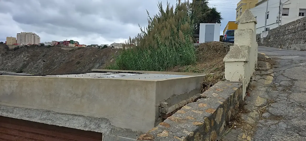 Desbroce Sarchal 3_2