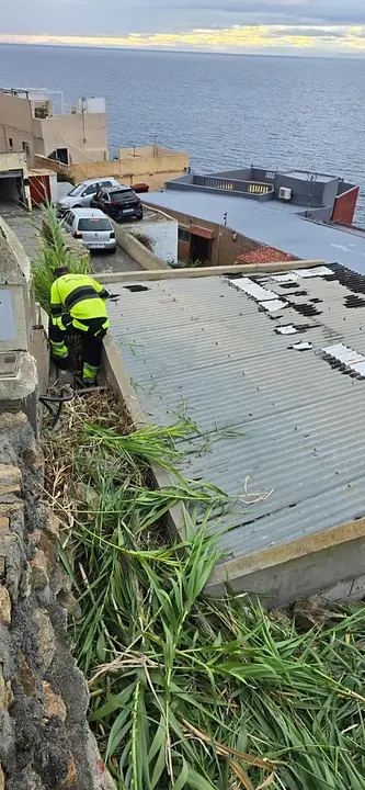 Desbroce Sarchal 4_1