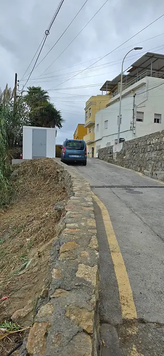 Desbroce Sarchal 4_2