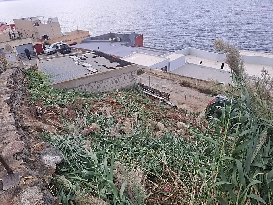 Desbroce Sarchal 5_1