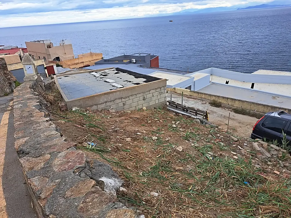 Desbroce Sarchal 5_2