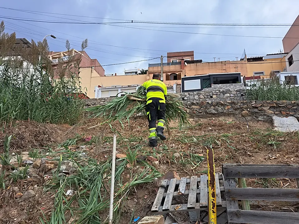 Desbroce Sarchal 7_2