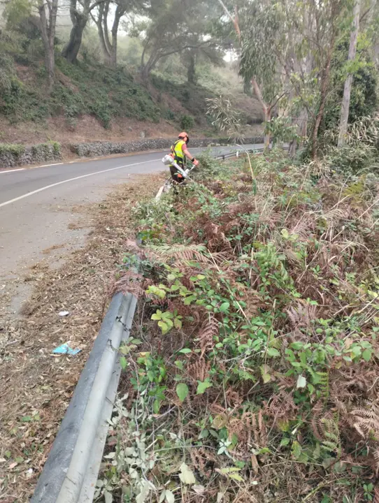 Desbroce Zona Betel 2