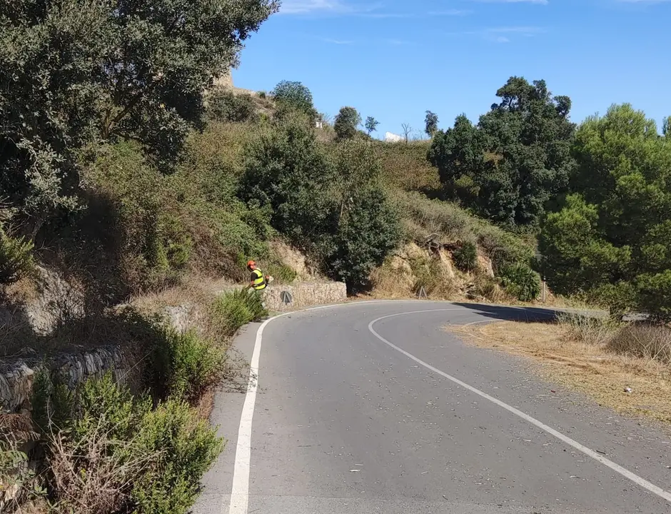 Desbroce Aranguren 1