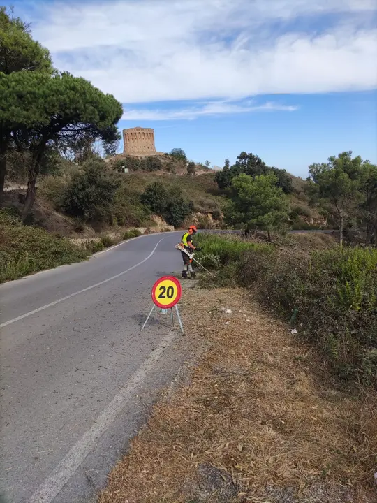 Desbroce Aranguren 2