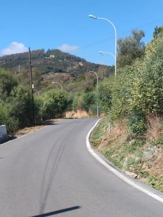 Desbroce Mendicuti 5