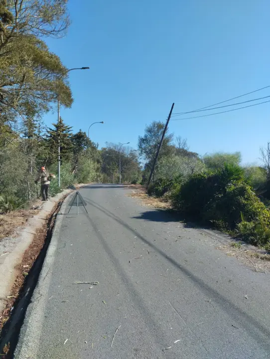 Desbroce Mendicuti 6