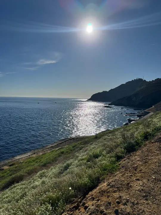 santa catalina 9