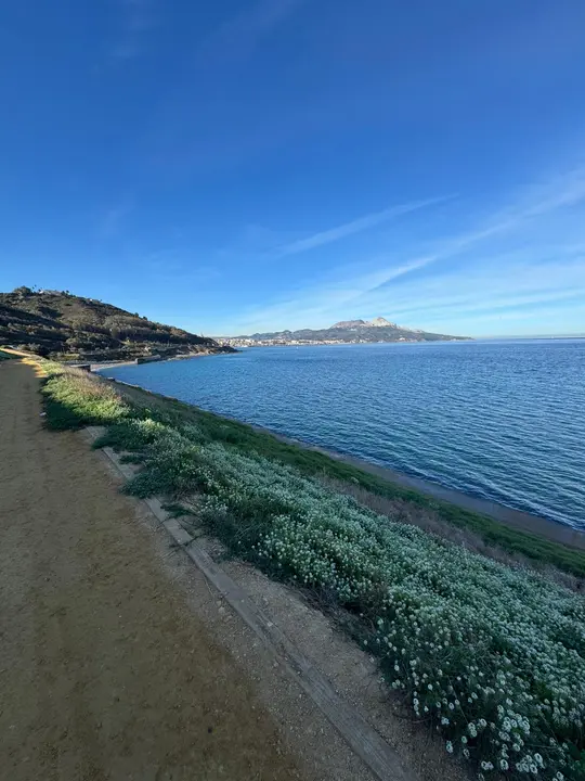 santa catalina 2