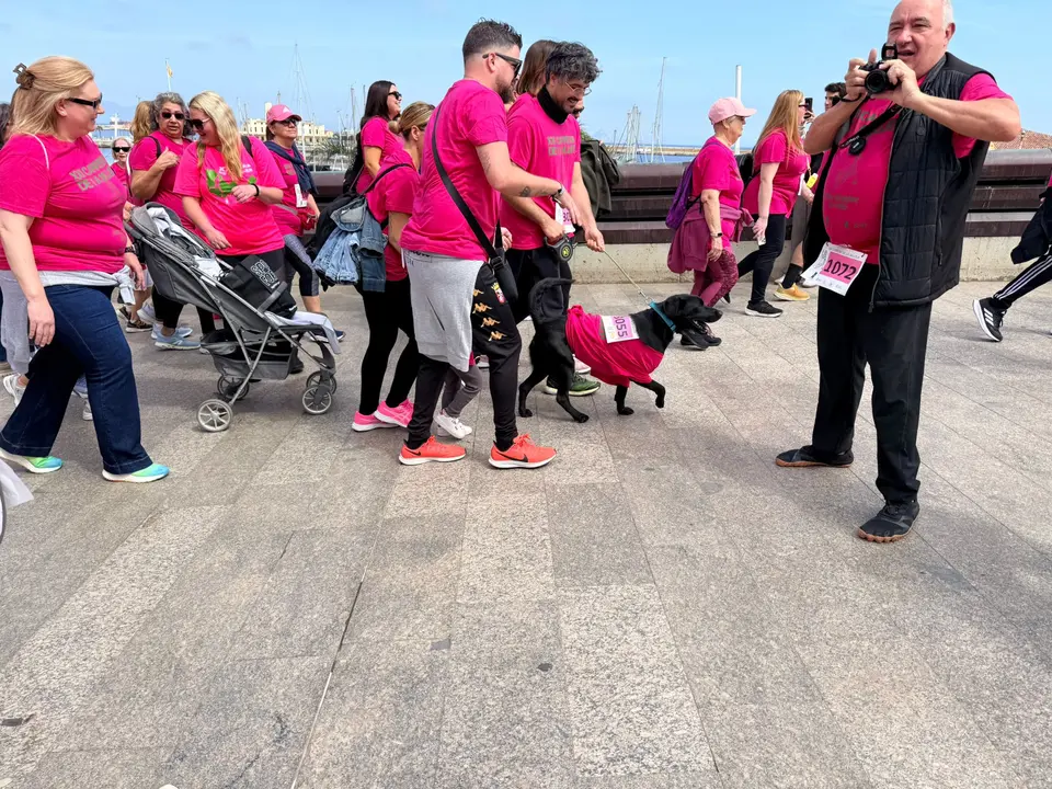 WhatsApp Image 2026-04-19 at 12.15.43 (2)