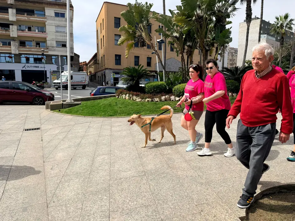 WhatsApp Image 2026-04-19 at 13.04.52