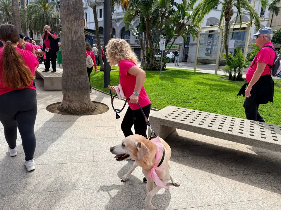 WhatsApp Image 2026-04-19 at 13.04.53