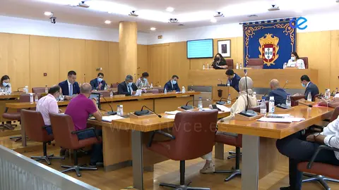 PLENO COMIT&Eacute; DE LAS REGIONES
