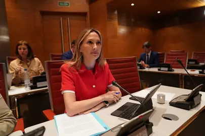 CRISTINA DIAZ SENADORA PP