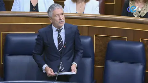 marlaska congreso