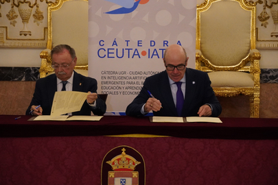 c&aacute;tedra ia ugr ciudad