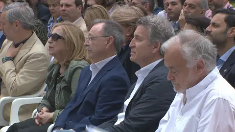 vivas feijoo y gonzalez pons