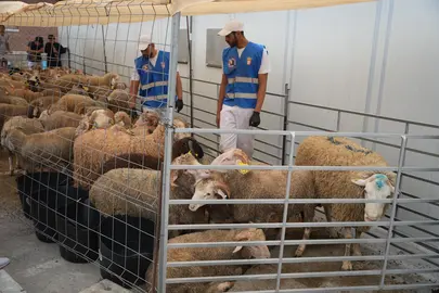 eid al adha mataderos