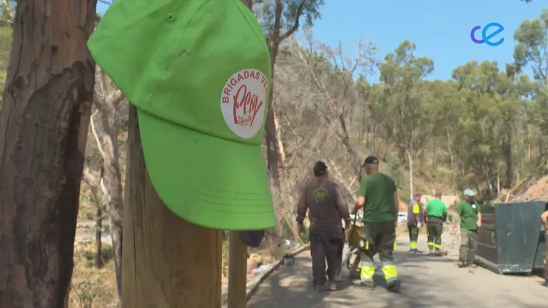 SENDEROS OBIMACE Y BRIGADAS VERDES