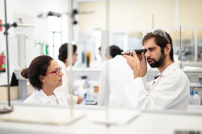 Formaci&oacute;n Profesional