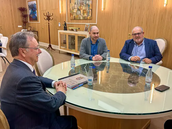 Reunión Triano-Vivas-Coronil-3