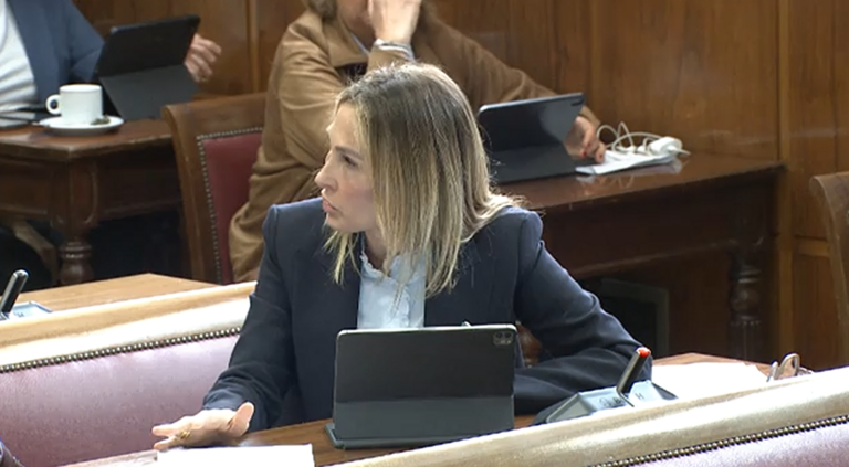 Cristina D&iacute;az Senado