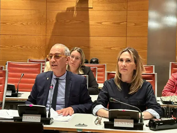 cristina díaz comisión educación senado