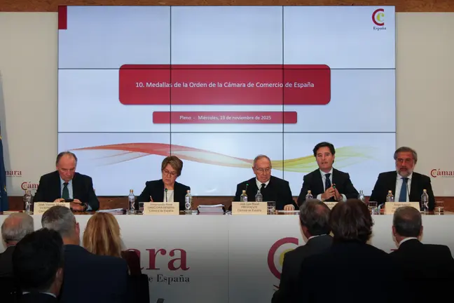 pleno cámara españa