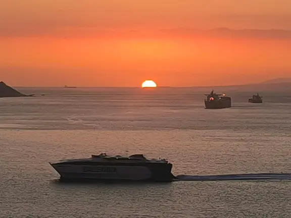 WhatsApp Image 2025-12-31 at 12.24.51