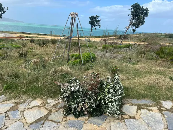 parque santa catalina