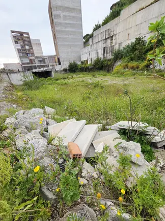 psoe vivienda