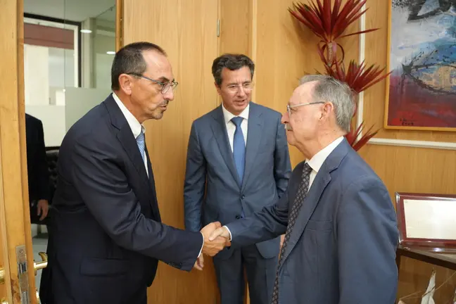 vivas endesa