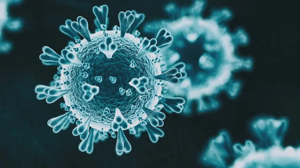 covid coronavirus